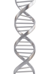 DNA Helix image